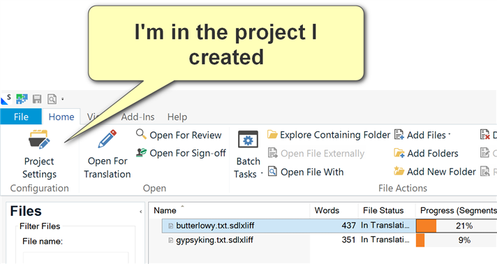 Trados Studio screenshot with a callout saying 'I'm in the project I created'. Two files are listed with their translation progress.