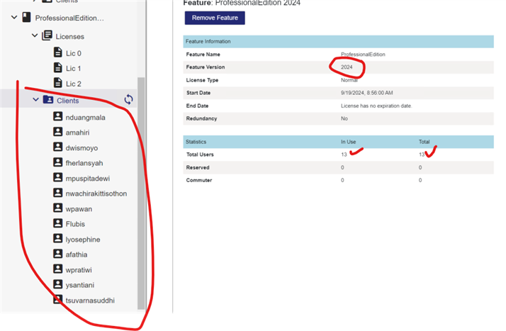 Screenshot of Trados Manager with ProfessionalEdition 2024 feature selected, showing 13 of 13 licenses in use. List of clients visible on the left.