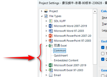 Screenshot showing the order of the Excel filetypes in the Project Settins with the Bilingual Excel at the top of the list