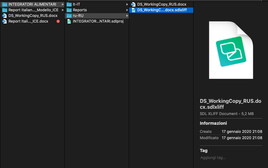 File explorer showing Trados Studio project files with a selected SDLXLIFF file and its details in the preview pane.