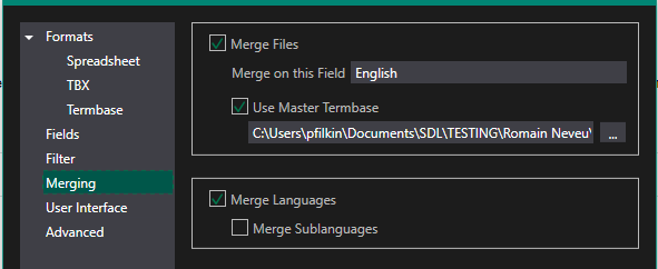 Glossary Converter settings window with 'Merge Files' and 'Merge Languages' options checked, and 'Use Master Termbase' path displayed.