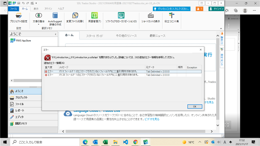 Trados Studio error message dialog box stating 'IO introduction.j01,introduction.e.sdlxliff' cannot be opened. Please check if the file is in use by another program or if file permissions are set correctly.