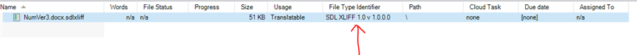 Trados Studio Files view showing a file named 'NumVer3.docx.sdlxliff' with file type identifier 'SDLXLIFF 1.01.0.0.0'.