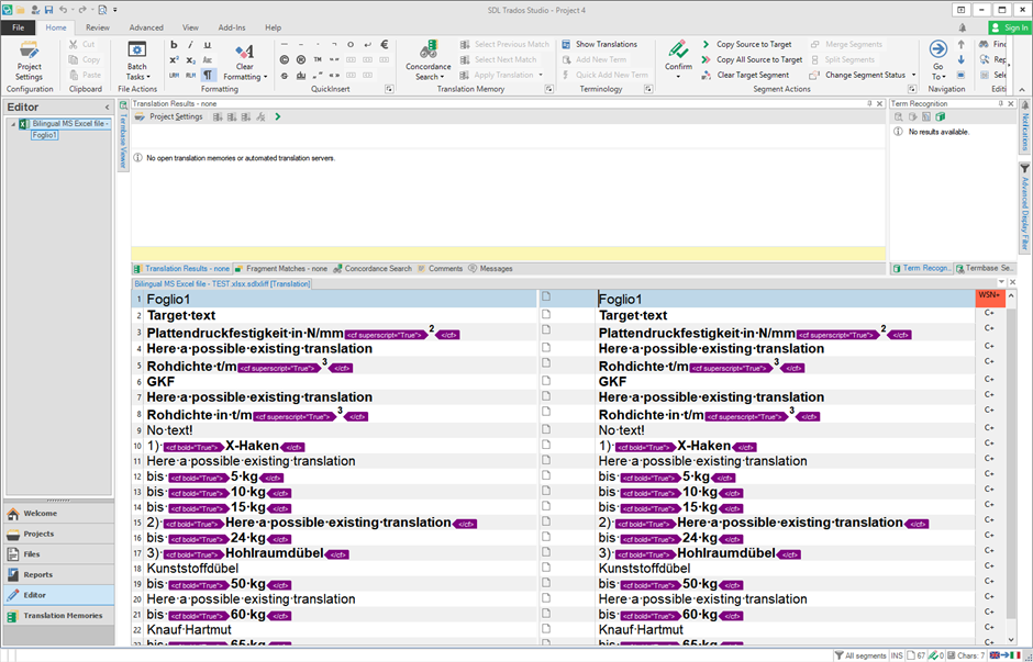 Trados Studio Editor window showing the loaded bilingual MS Excel file with preserved formatting such as bold and italic text in the target column.
