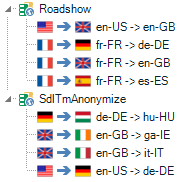 Close-up view of the 'Roadshow' multilingual container in Trados Studio, displaying various bilingual translation memories with different source and target language pairs.