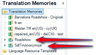 Screenshot showing the Translation Memories section in Trados Studio with a multilingual container 'Roadshow' expanded to reveal bilingual TMs.