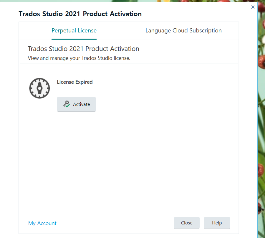 Trados Studio 2021 Product Activation window showing a 'License Expired' message with an 'Activate' button below it.