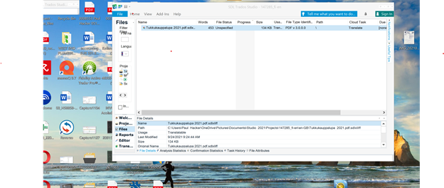 Screenshot of Trados Studio interface with a project file listed, but no visible errors or warnings.