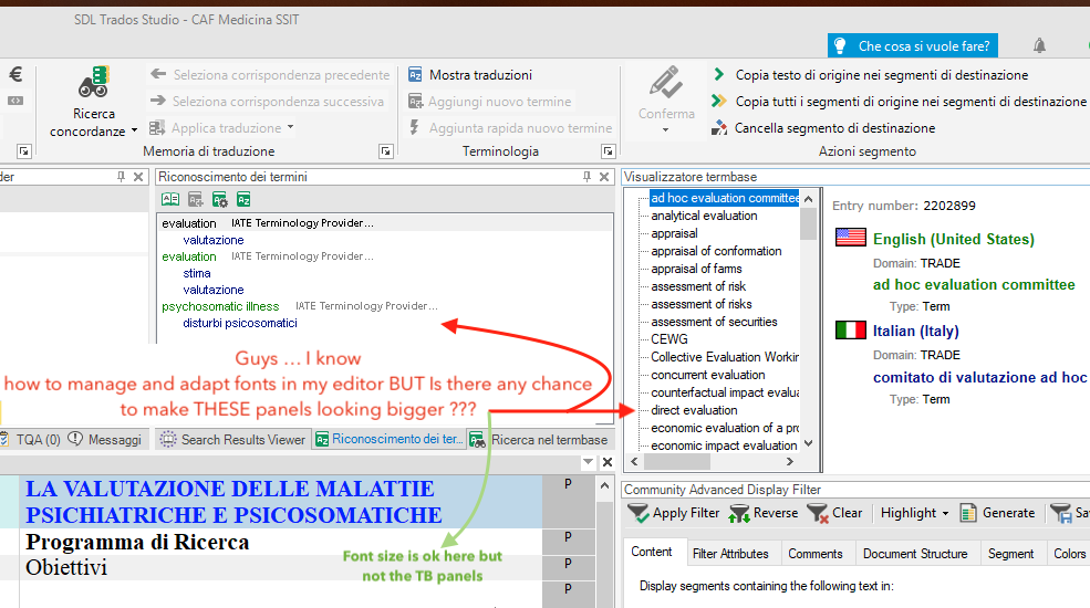 Screenshot of Trados Studio interface with a user's query about increasing panel font size, showing the Termbase Viewer with English and Italian terms.